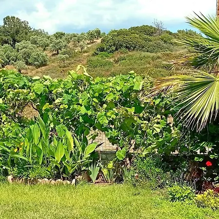 Sea Breeze 2 Limenaria (Thasos)
